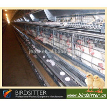 2015 neuer heißer Verkauf automatischer Huhnkäfig für Schicht